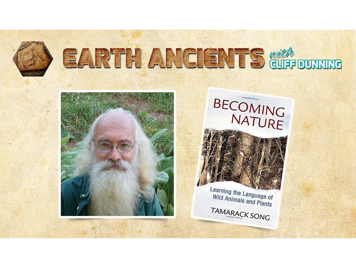 Tamarack Song: Becoming Nature