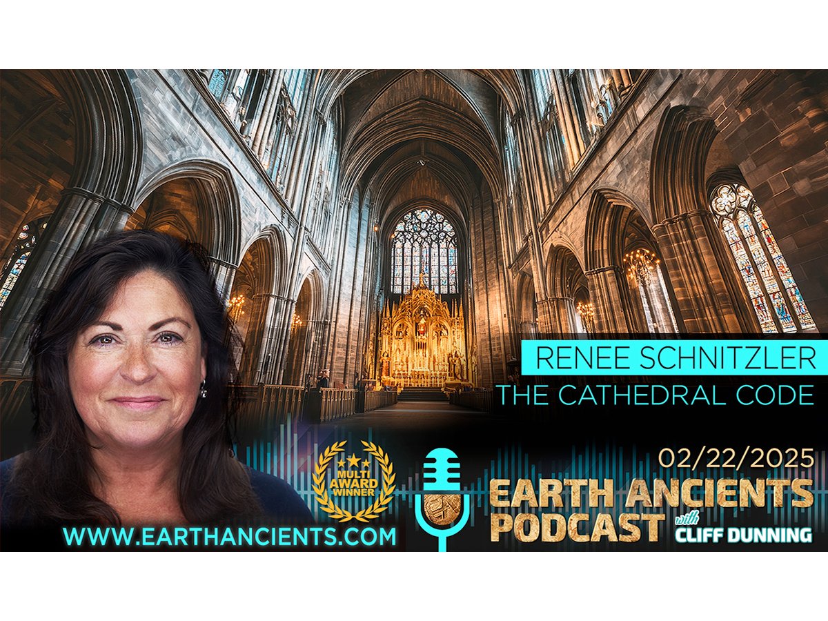 Renee Schnitzler: The Cathedral Code
